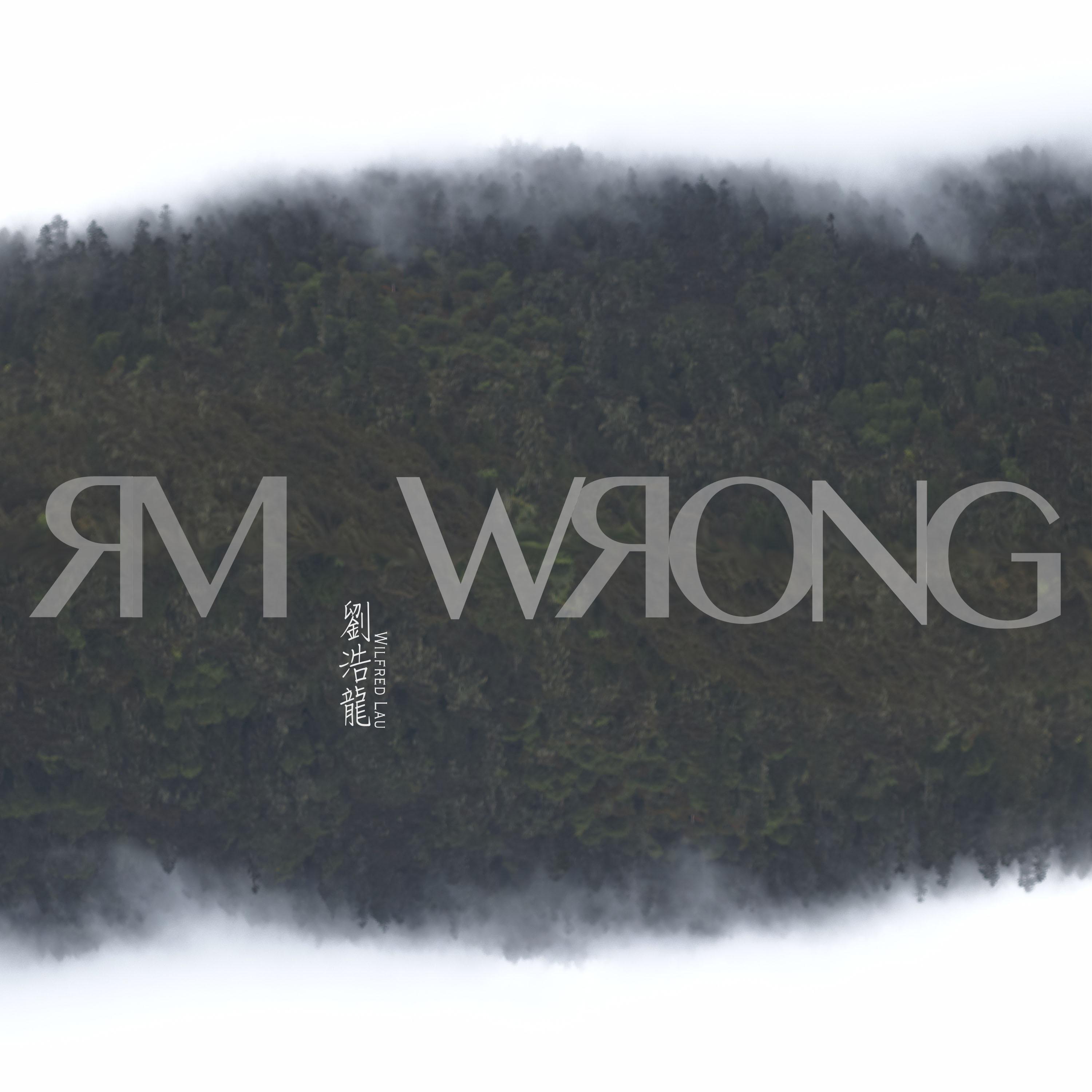 MR.WRONG专辑