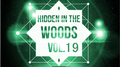 Hidden In The Woods Vol.19专辑