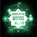 Hidden In The Woods Vol.19专辑