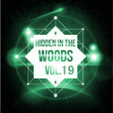 Hidden In The Woods Vol.19