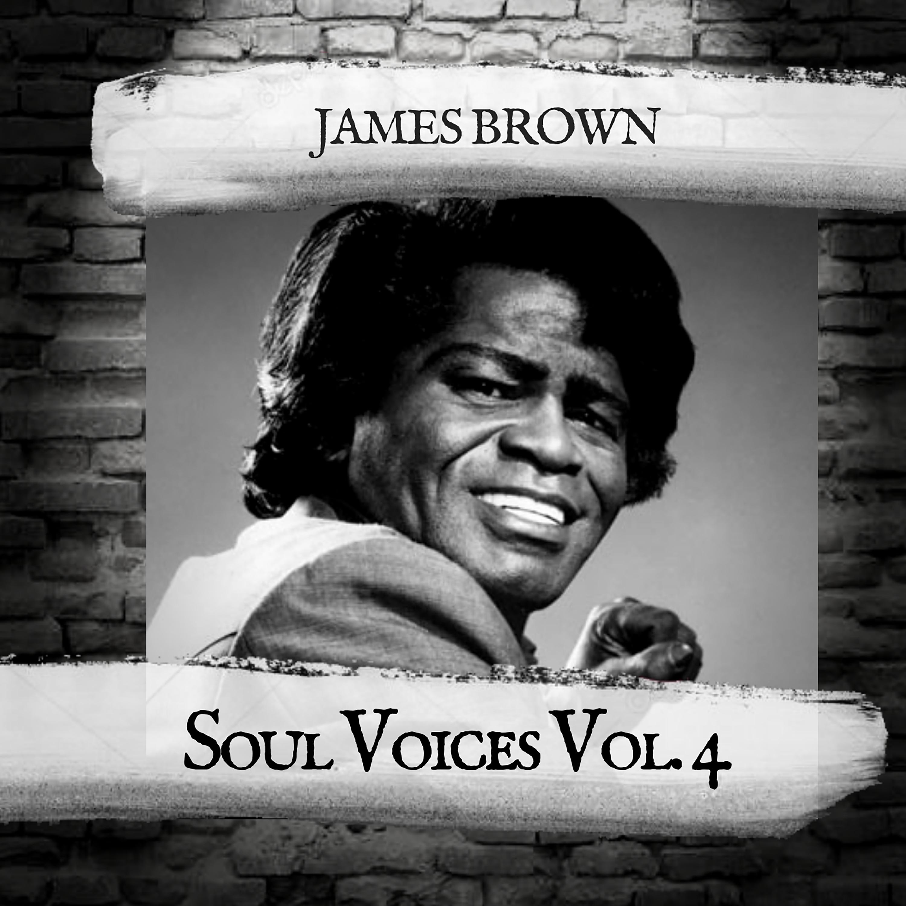 Soul Voices Vol. 4
