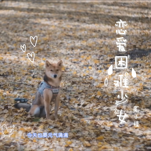 恋爱困难少女(不够甜也不够盐)