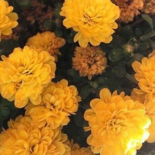 【优质安静】适合一个人听的歌单