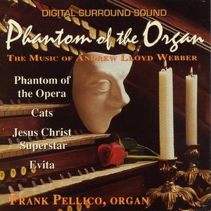 The Phantom Of The Opera - All I Ask Of You (DW Karaoke) 带和声伴奏 （降6半音）