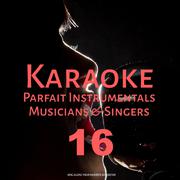 Karaoke Parfait Instrumentals Musicians & Singers, Vol. 16专辑