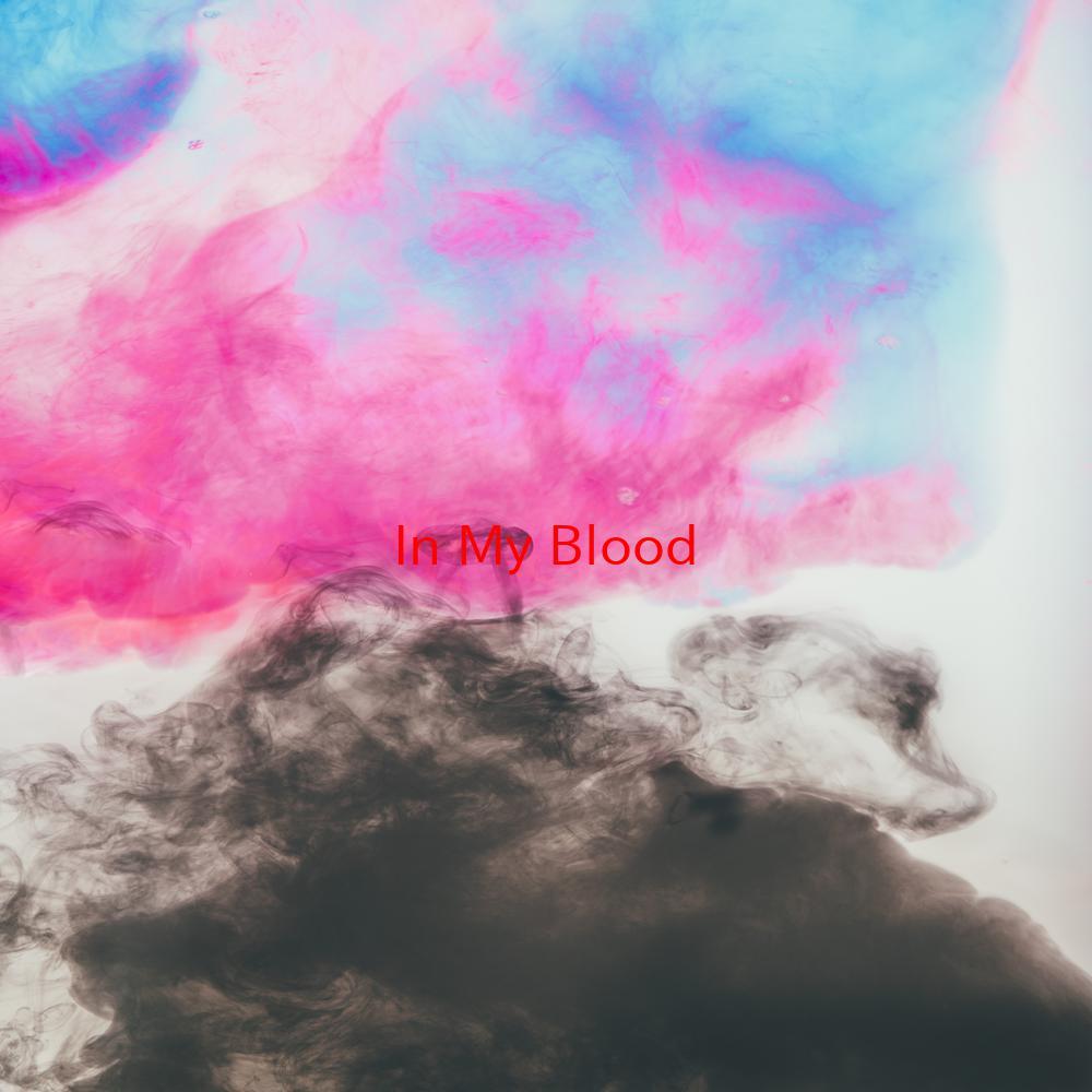 In My Blood (Complete version originally performed by The Veronicas)