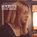 Habits(Stay High) 