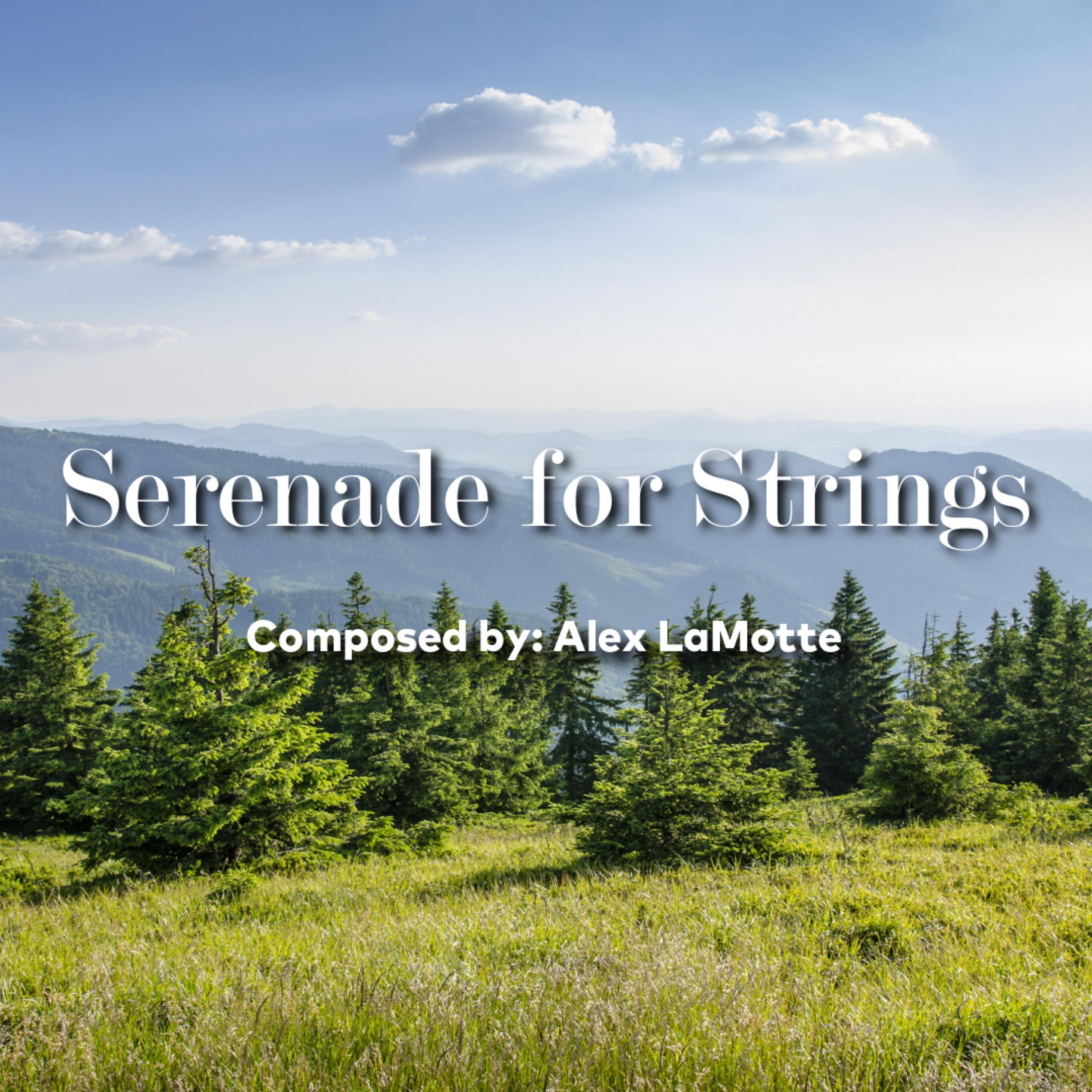serenade for strings (ii. romanza)