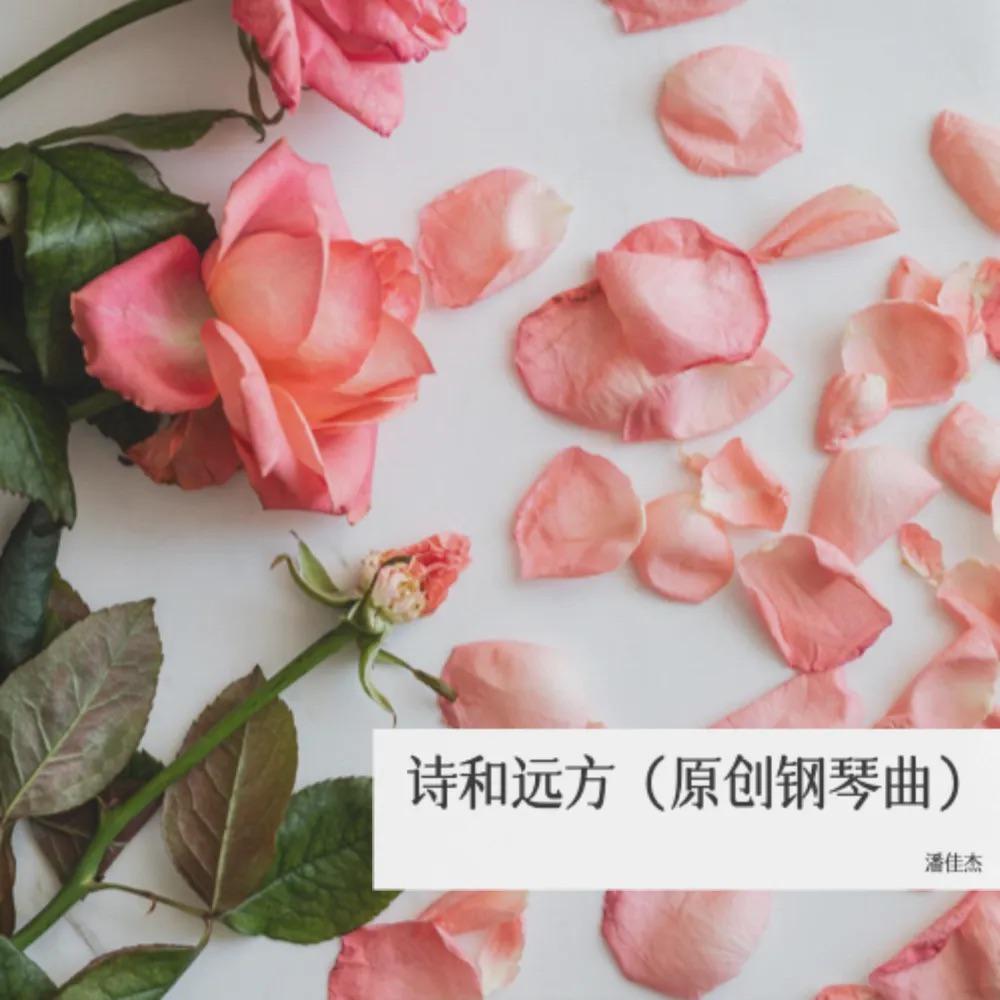 诗和远方（钢琴曲）