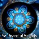 42 Peaceful Sounds专辑