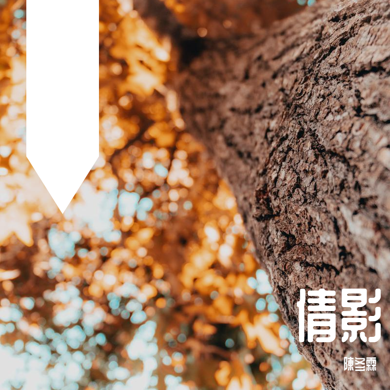 倩影