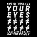 Your Eyes (Datsik Remix)专辑