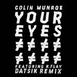 Your Eyes (Datsik Remix)专辑