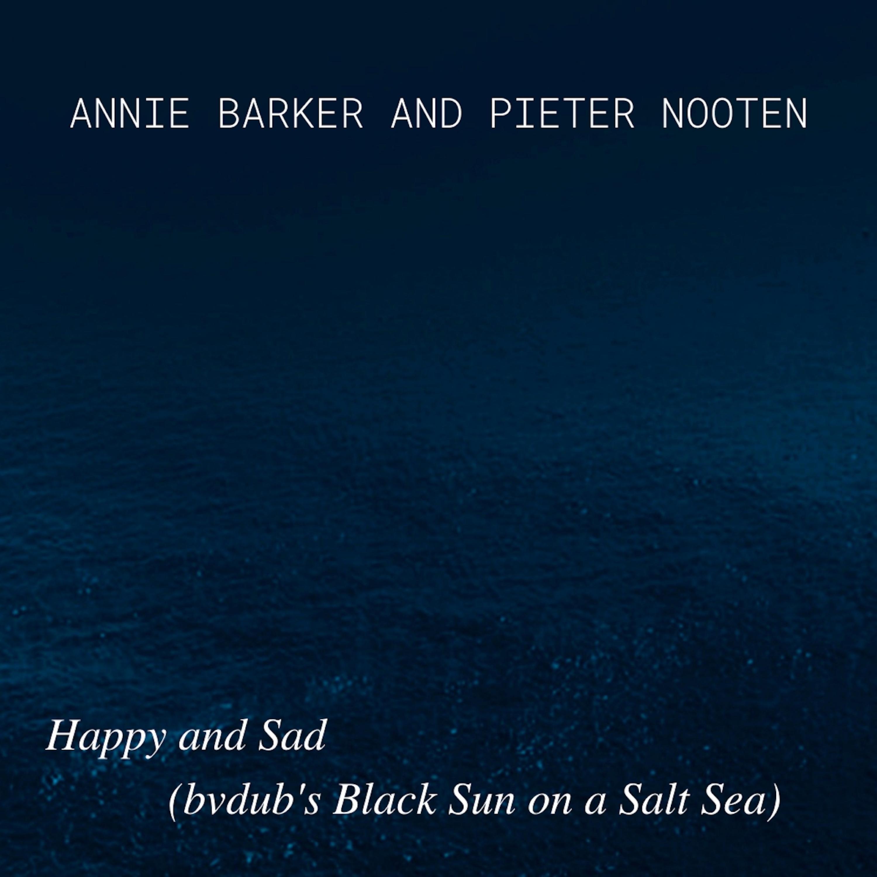 Happy and Sad (bvdub's Black Sun on a Salt Sea) (bvdub remix)