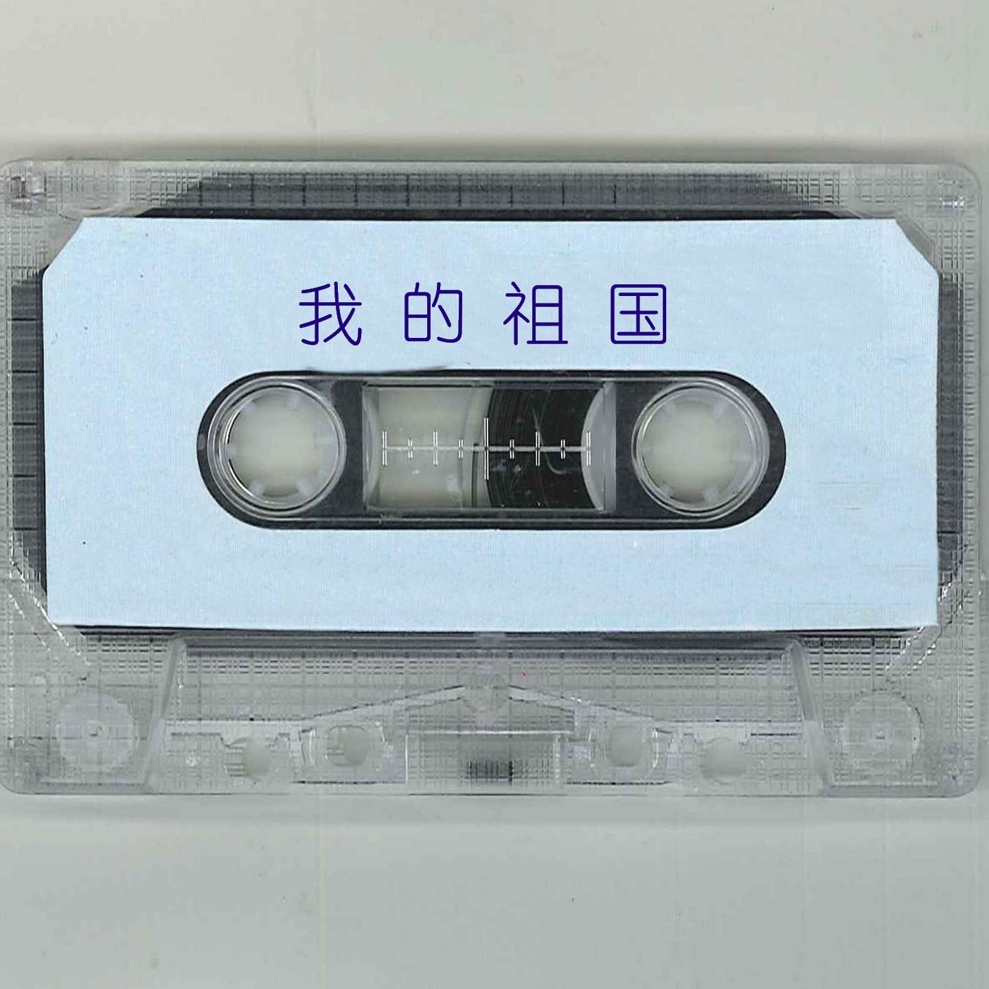 毛宁-《我的祖国》