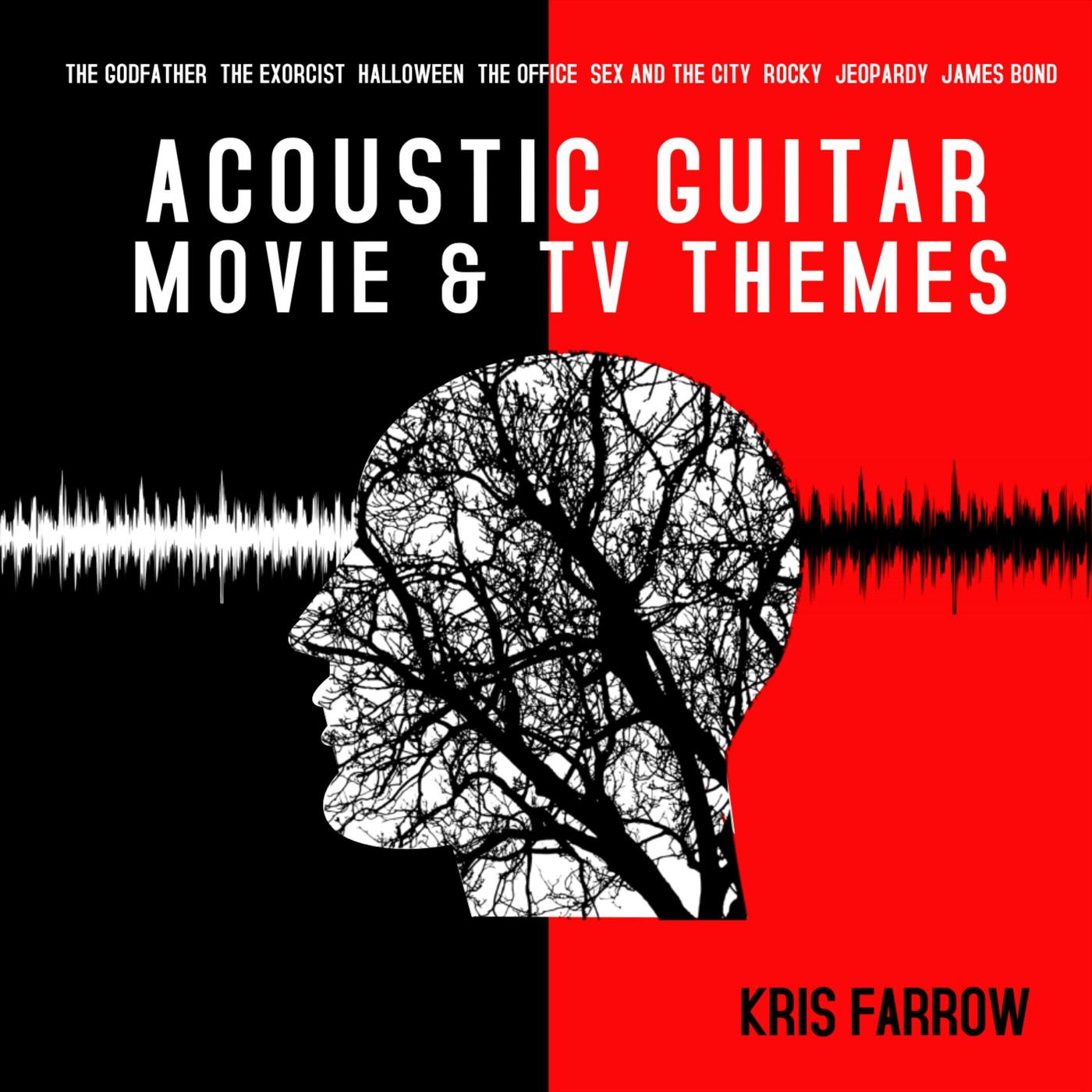 Acoustic Guitar Movie & TV Themes专辑