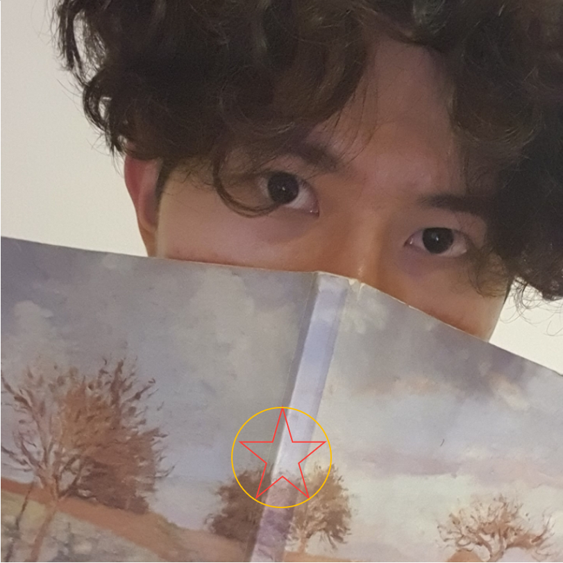 我的生命就是我的诗集（上）