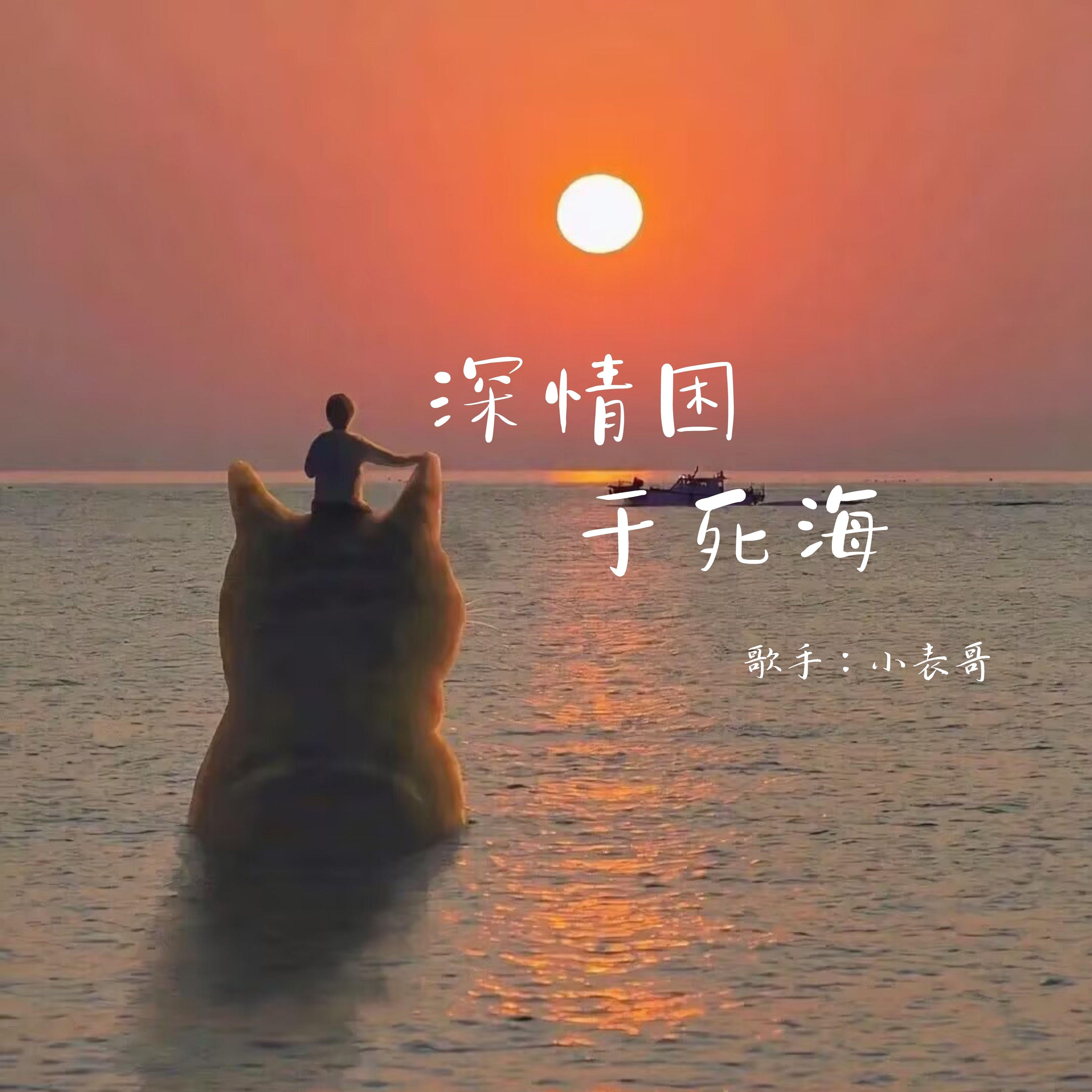 深情困于死海