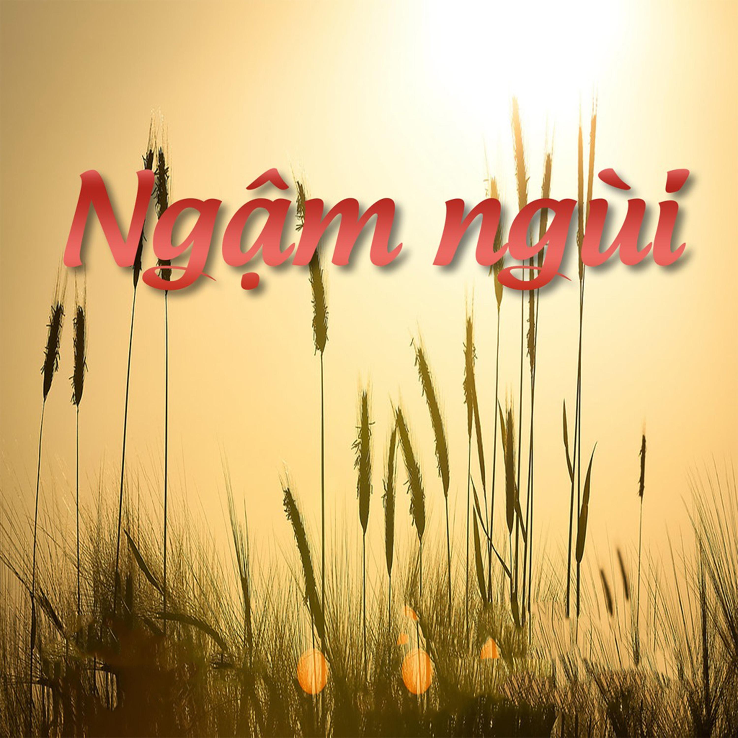 Ngậm Ngùi