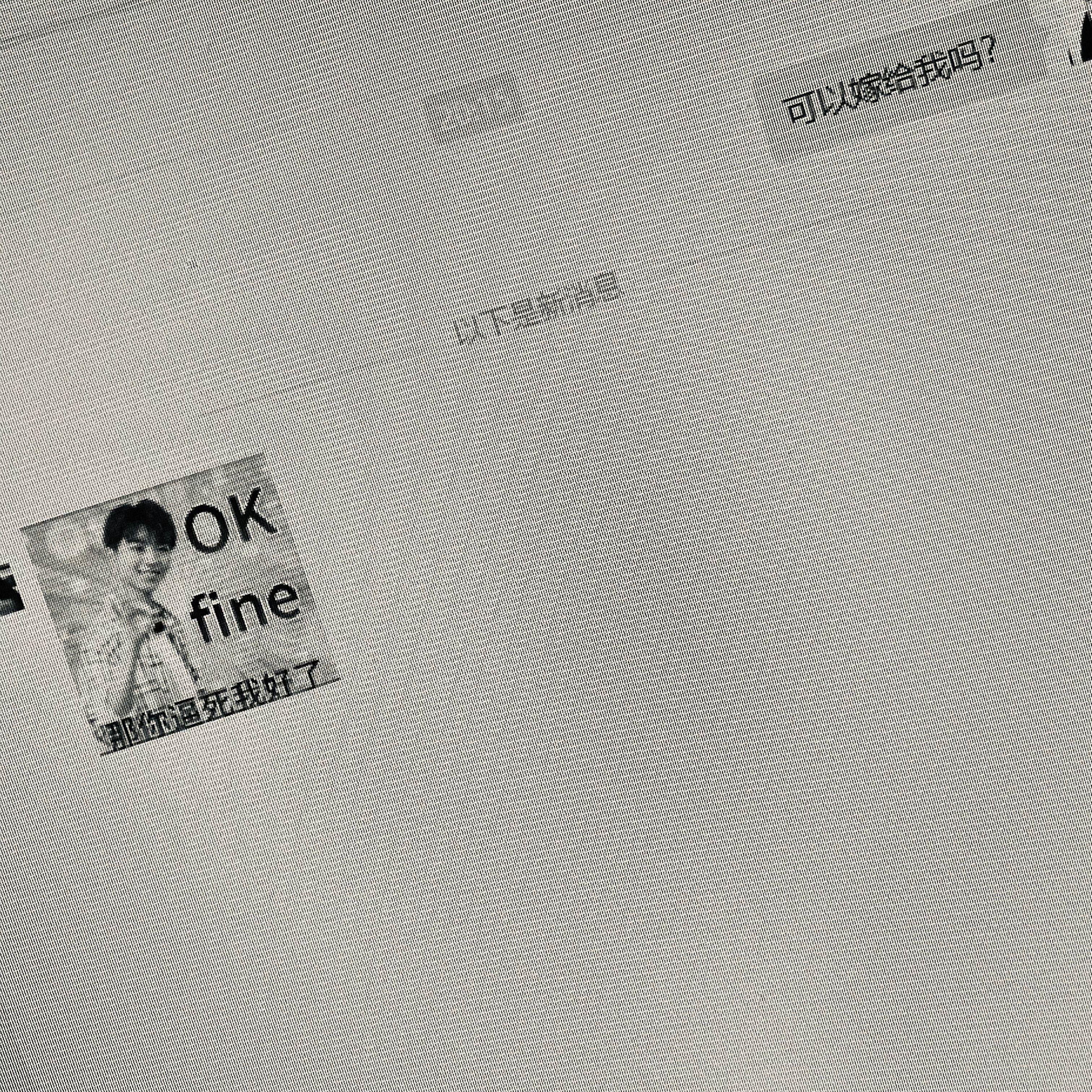 今天你要嫁给我