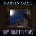 How High the Moon