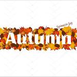 Autumn专辑