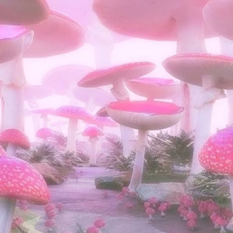 梦核/怪核 | “嘿 它在看你 我也是” | 在线播放 | 网易云音乐