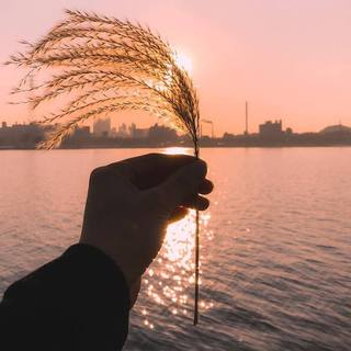 书本总会翻完，电影总要散场