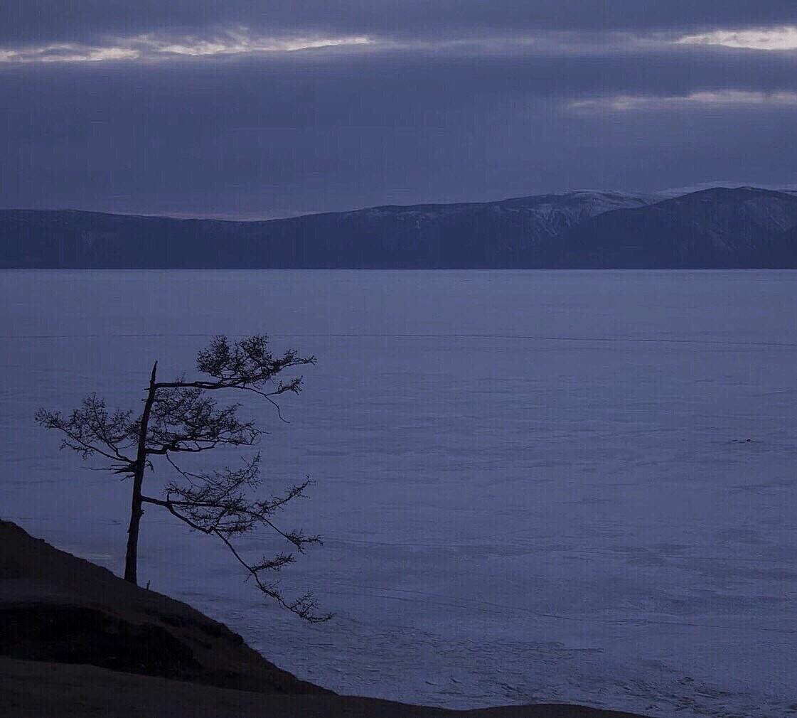 阿泱 - 起风了（翻自 高橋優）