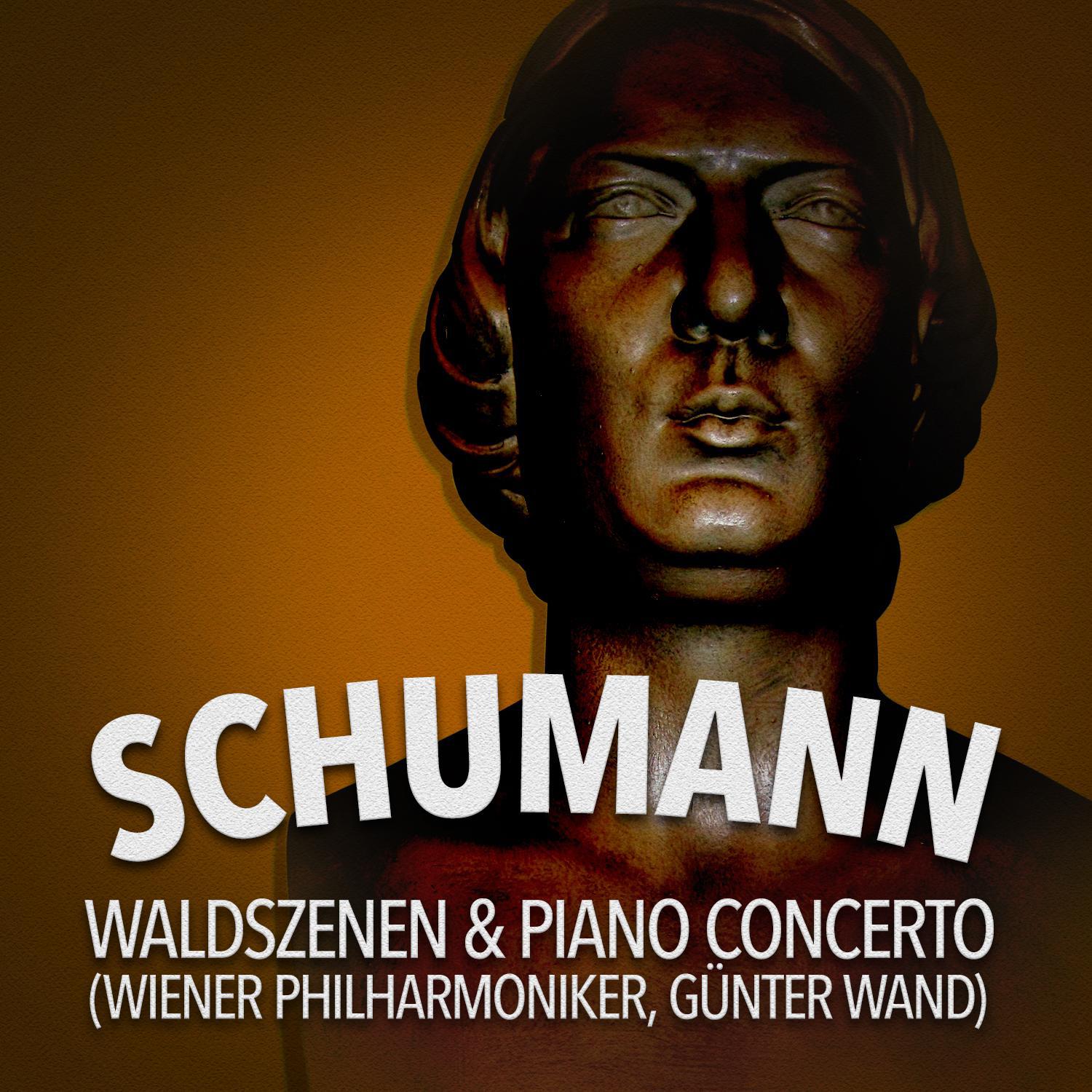 Schumann: Waldszenen & Piano Concerto专辑