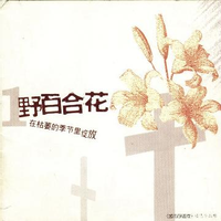 我前两天上传的《野地里的百合花》原版伴奏