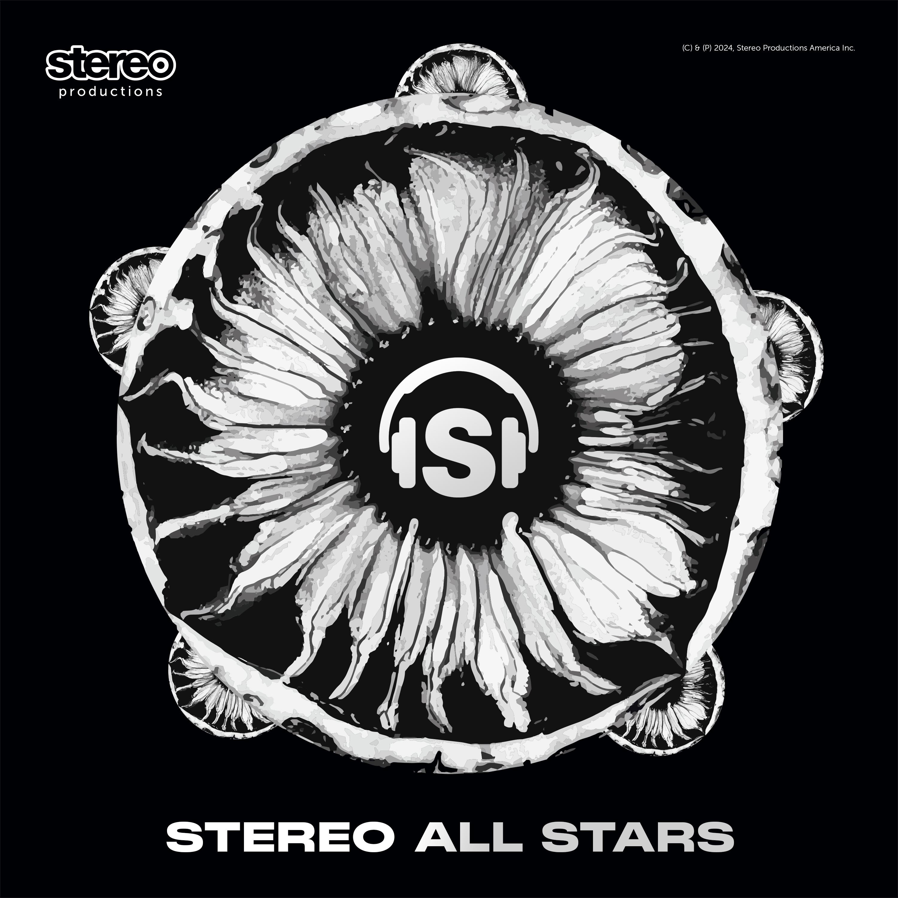 Stereo All Stars (Curated by DJ Chus)