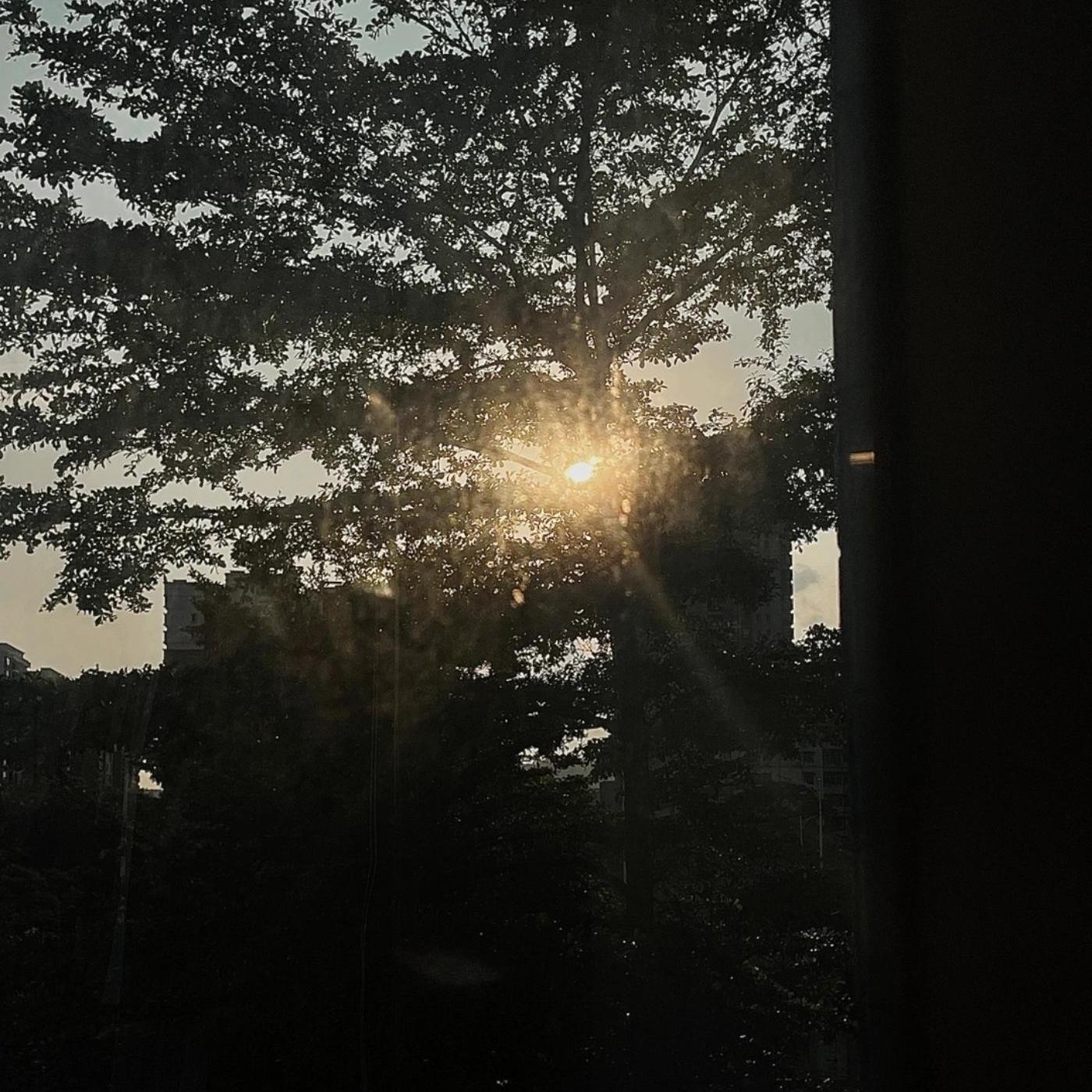 越得不到越喜欢