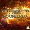 Richard Harrington - No One Like U (Original Mix)