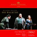 WAGNER, R.: Walküre (Die) (Botha, Stemme, Anger, Vienna State Opera Orchestra, Welser-Möst)专辑