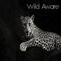 Wild Aware