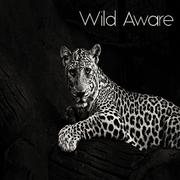 Wild Aware