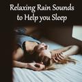 19 Loopable Rain Nature Sounds