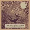 Carrie Newcomer - A Great Wild Mercy