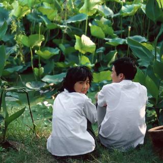 梅子黄时 | 端午临中夏，时清日复长
