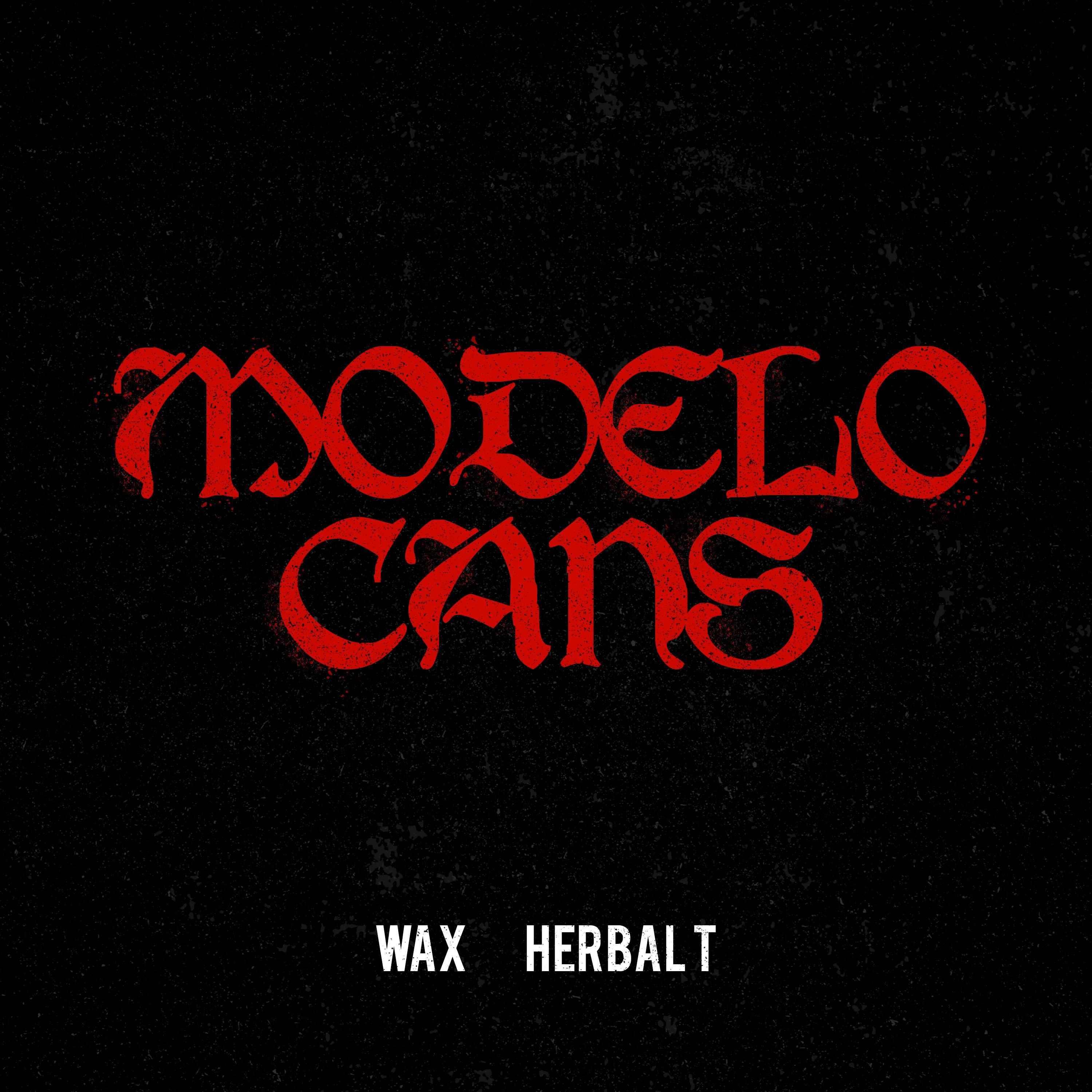 Modelo Cans