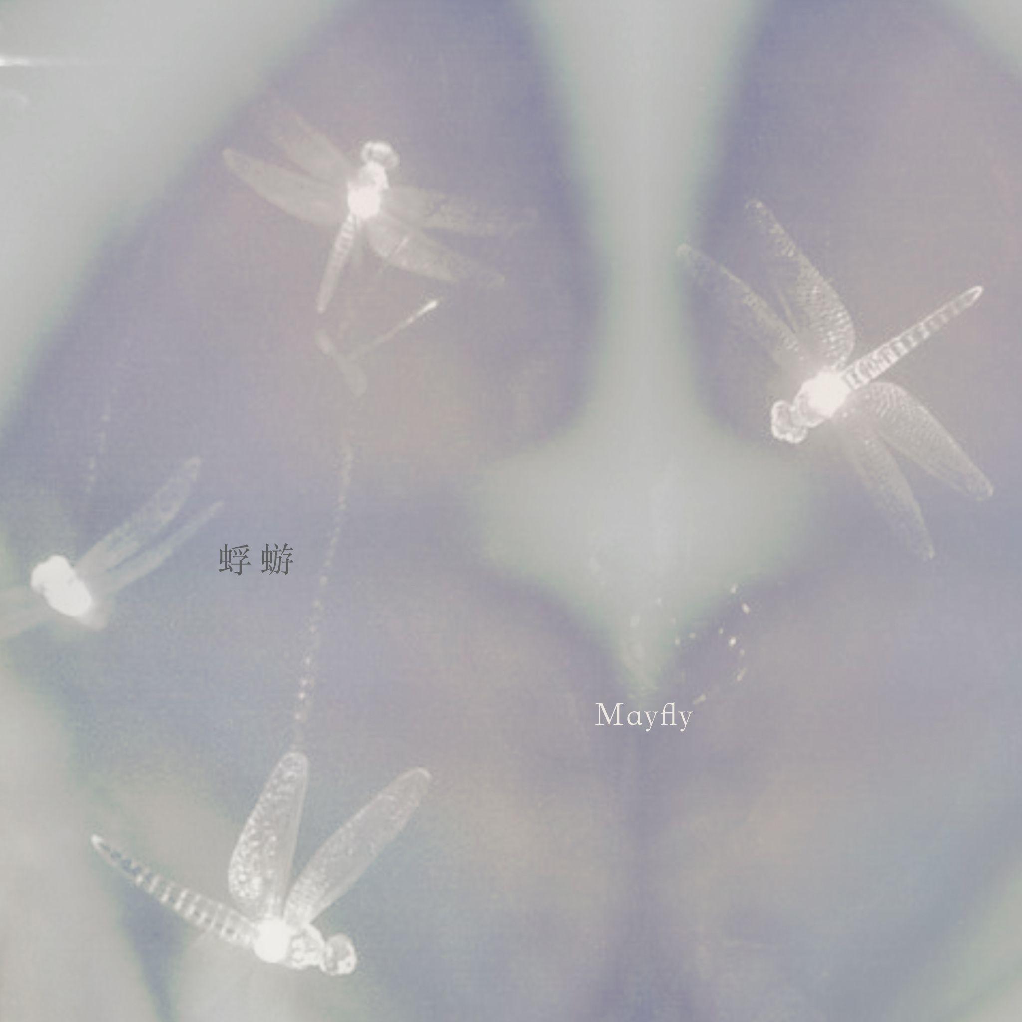 蜉蝣（Mayfly）