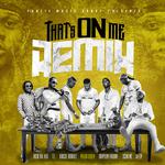 That's On Me (Remix) [feat. 2 Chainz, T.I., Rich The Kid, Jeezy, Boosie Badazz & Trapboy Freddy]专辑