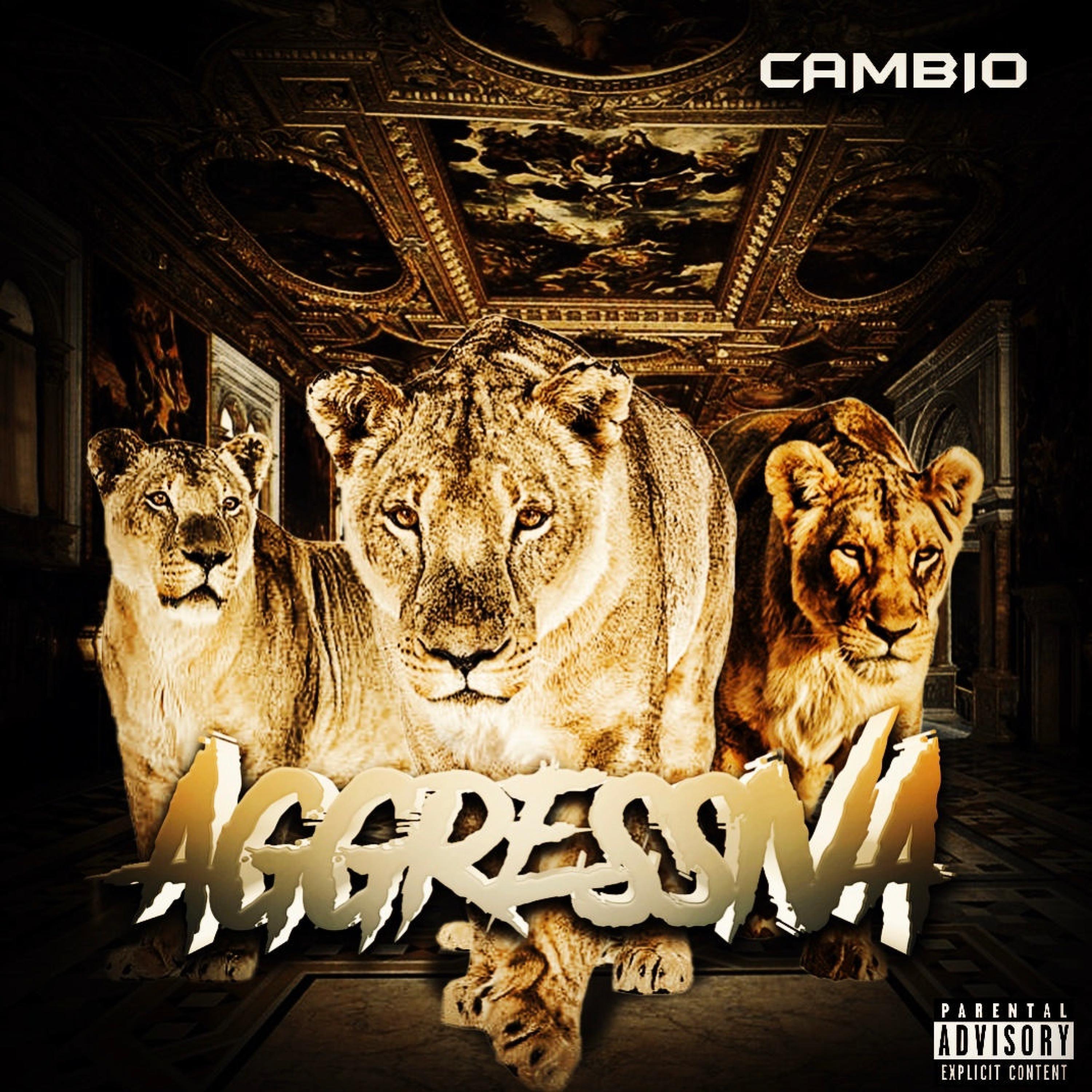 Aggressiva