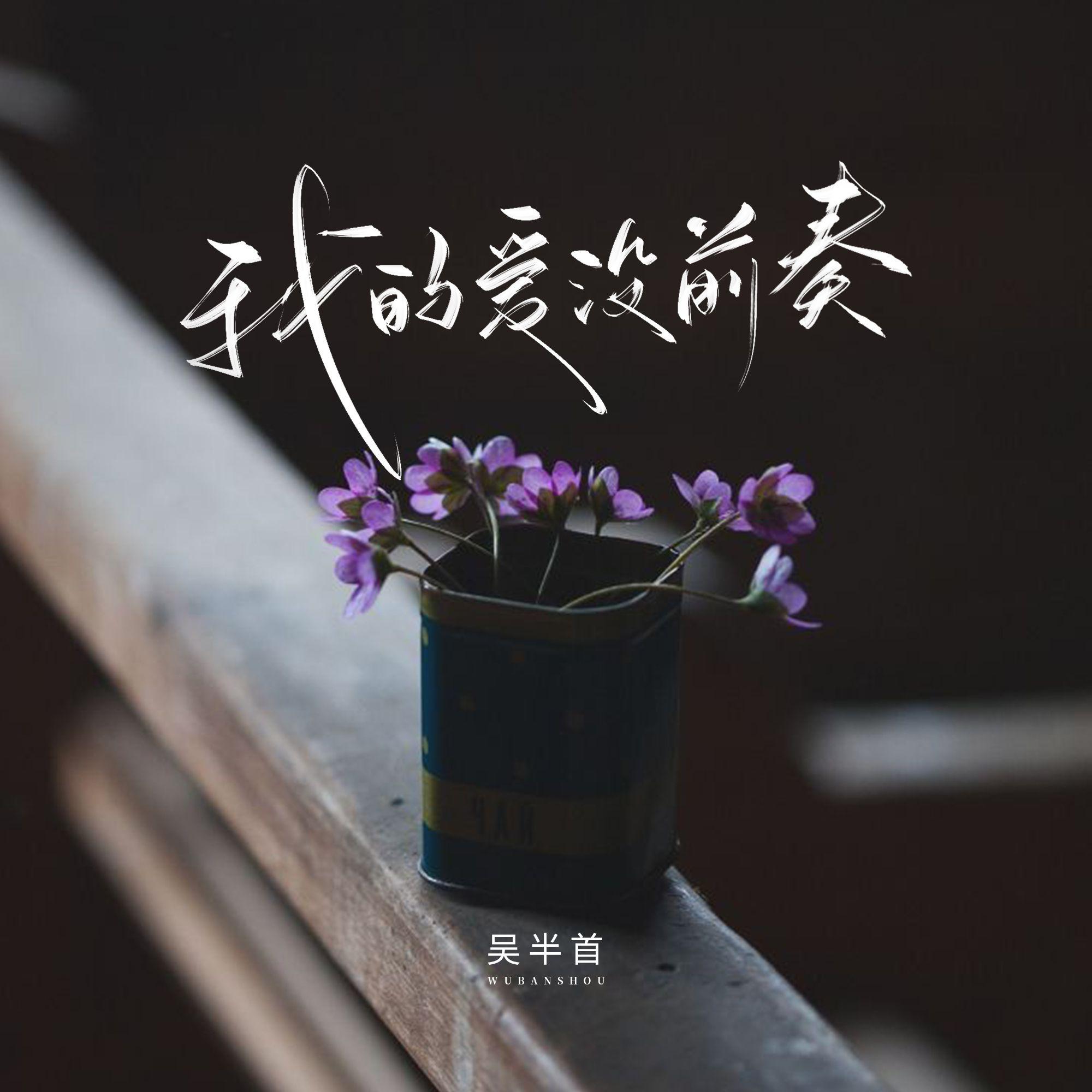 我的爱没前奏专辑