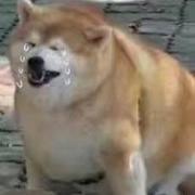 因为vocal太丢脸有点不好意思上传不过还是上传了