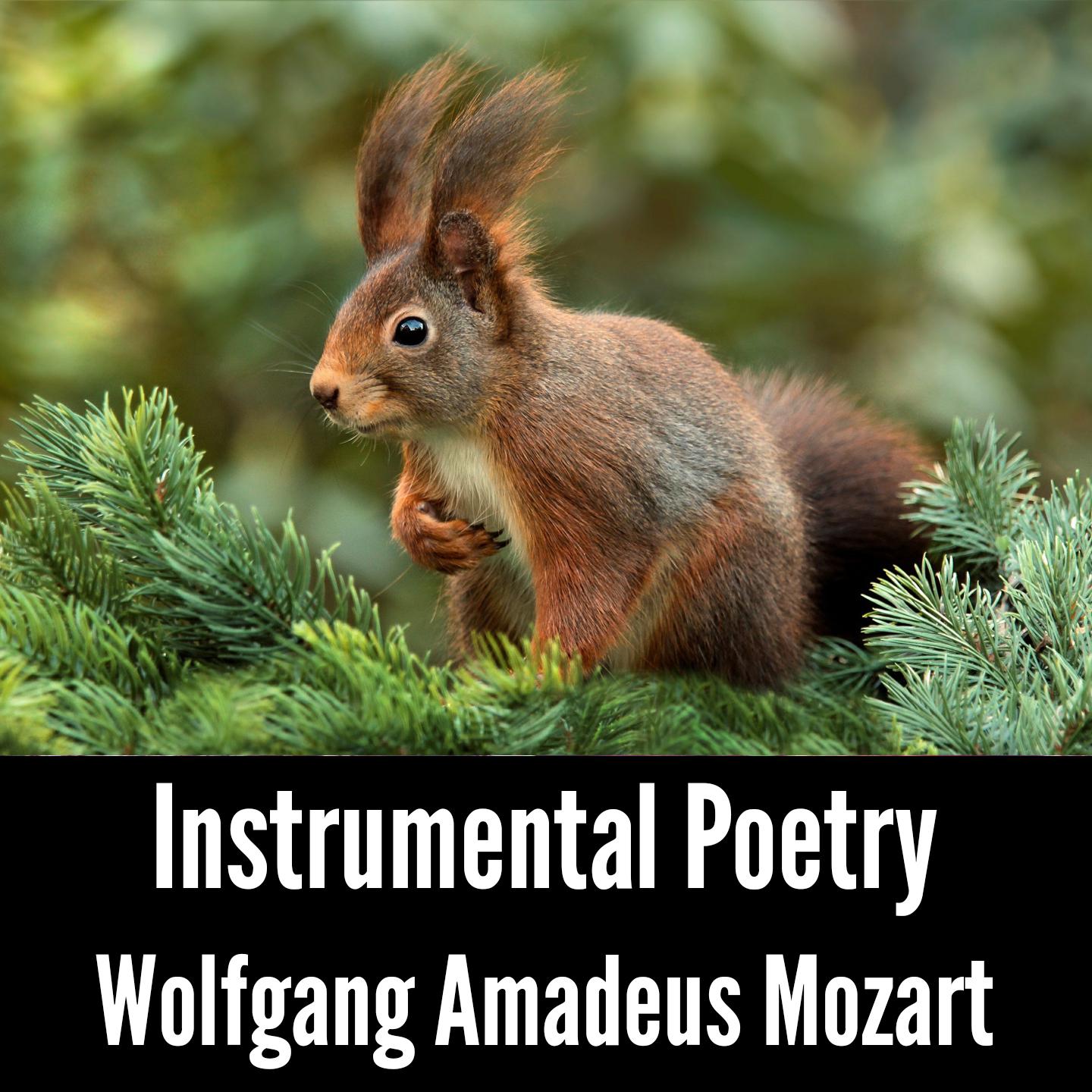 Instrumental Poetry: Wolfgang Amadeus Mozart专辑