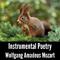 Instrumental Poetry: Wolfgang Amadeus Mozart专辑