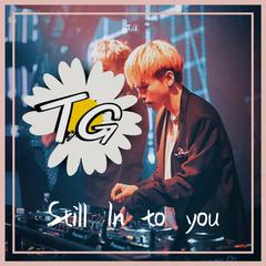 Paramore-Still Into you [T.G & E11 Remix]（T.G remix）