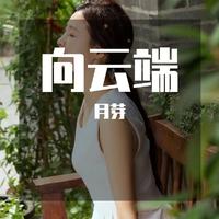 车厘子的车车 - 天际(粤语版伴奏) 伴奏